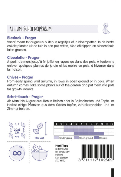 Chives - Prager - 2 g