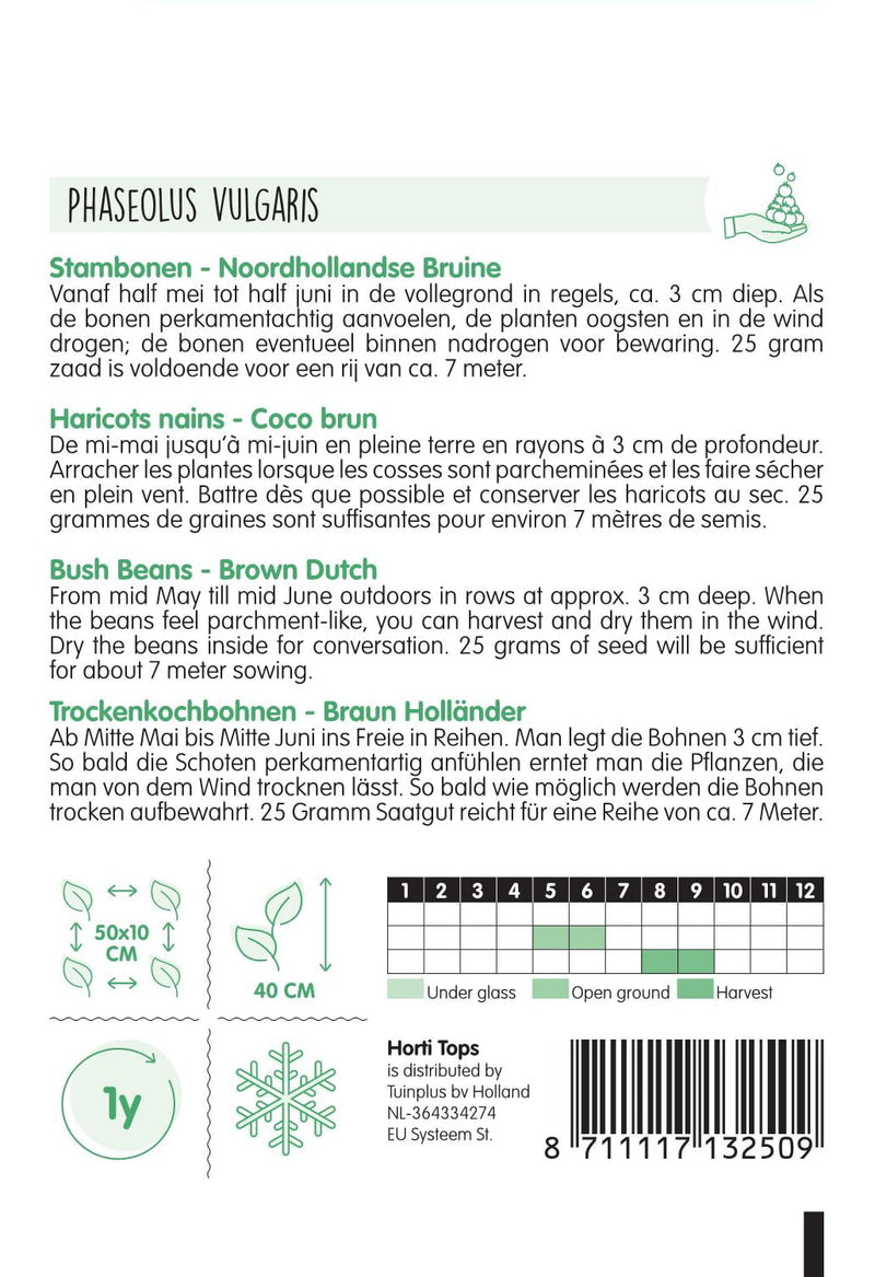 Bush Beans - Noordhollandse Bruine - 25 g