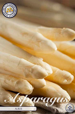 Asparagus - Albus
