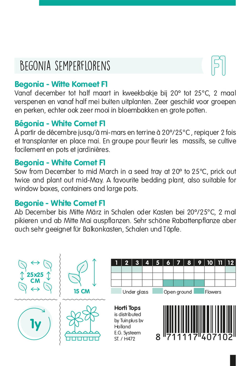 Begonia - Witte Komeet F1 - 700 Seeds
